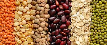 Pulses and Lentils